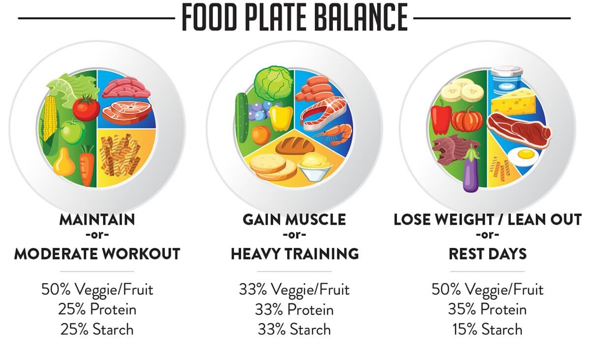 Nutrition Made Easy How To Count Your Macros Without A Scale