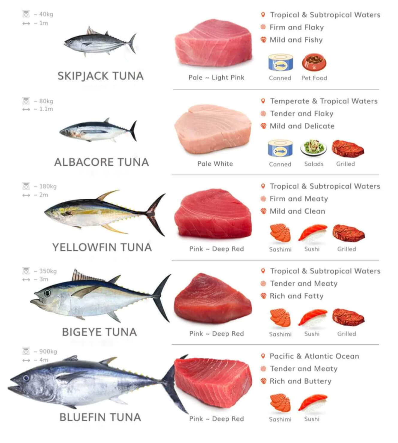 Types of tuna