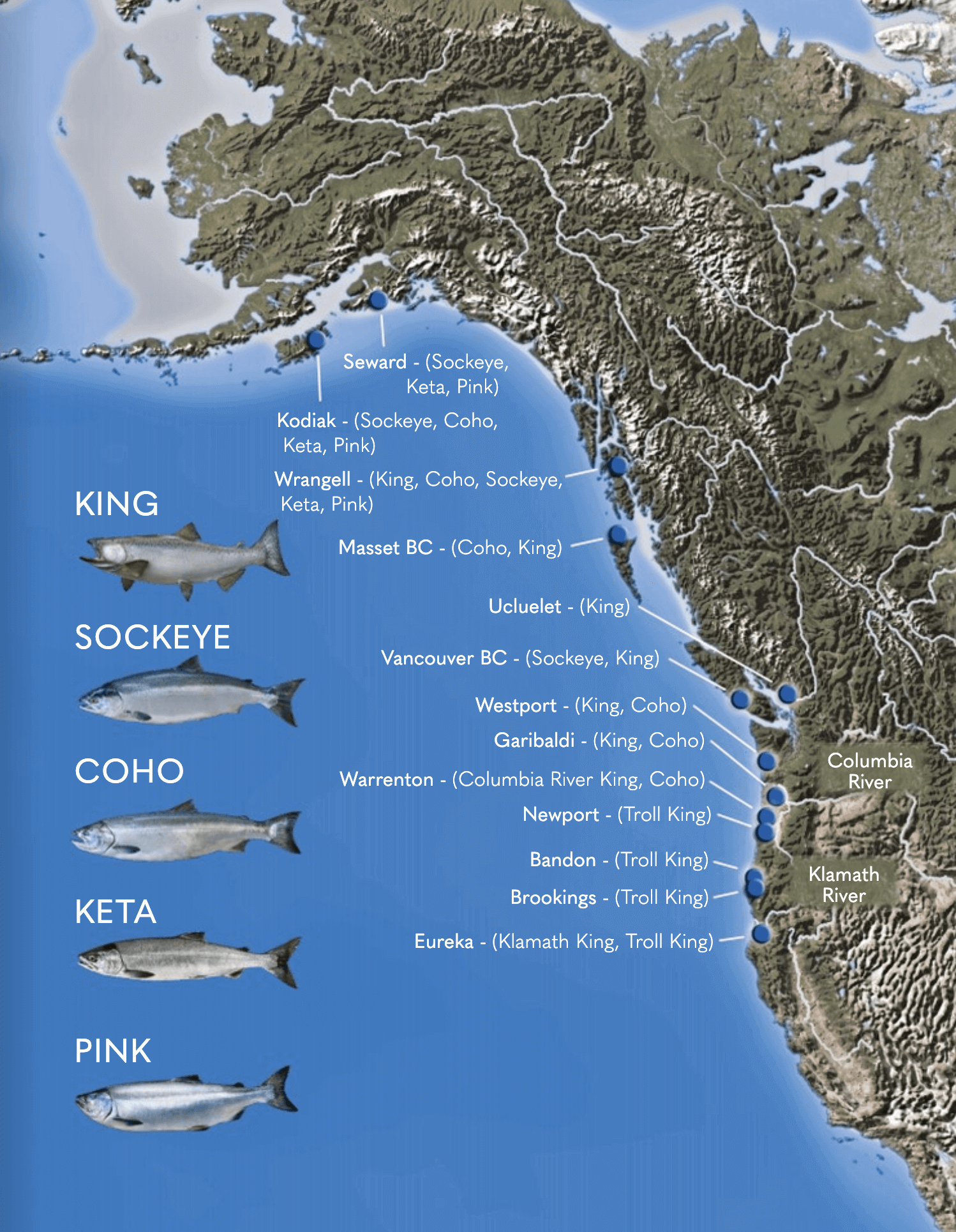 Pacific Wild Salmon Types